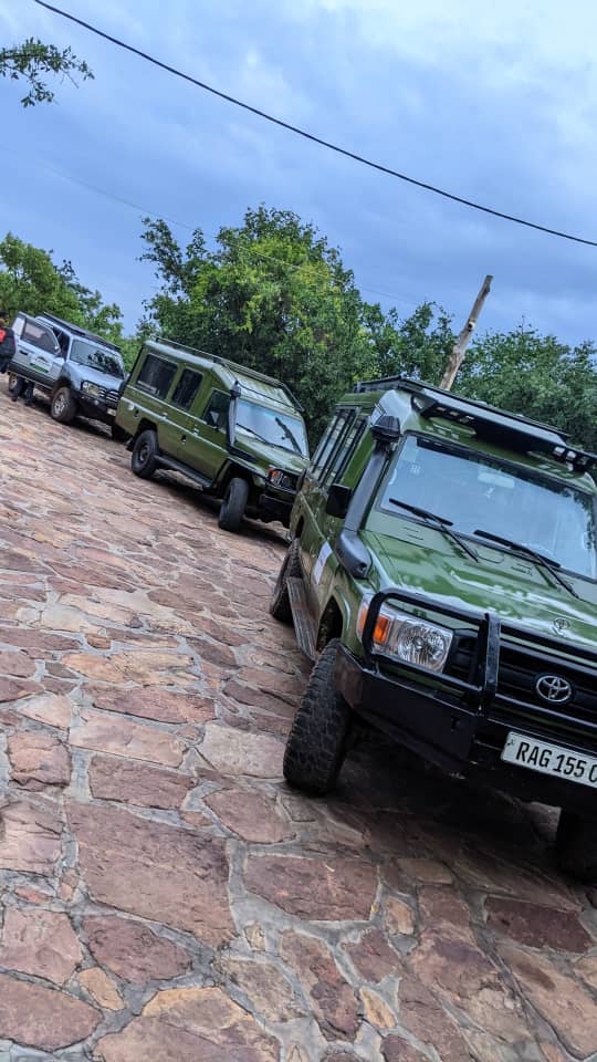 Safari Transport